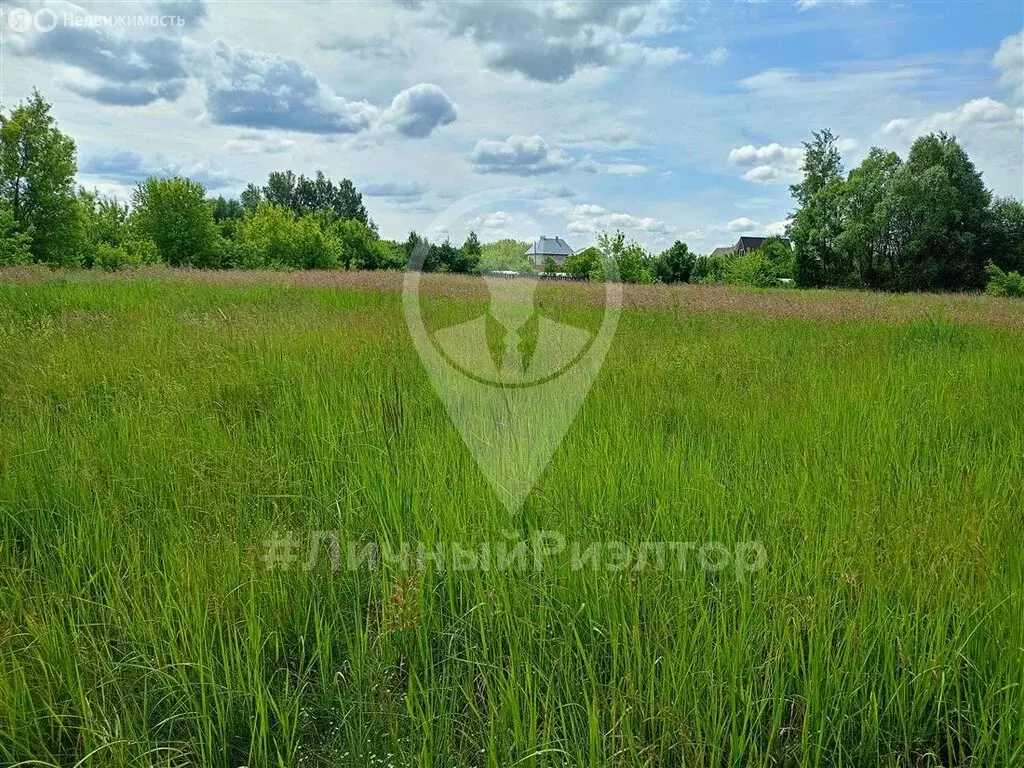 Участок в Рязанская область, Спасский муниципальный округ, село ... - Фото 1