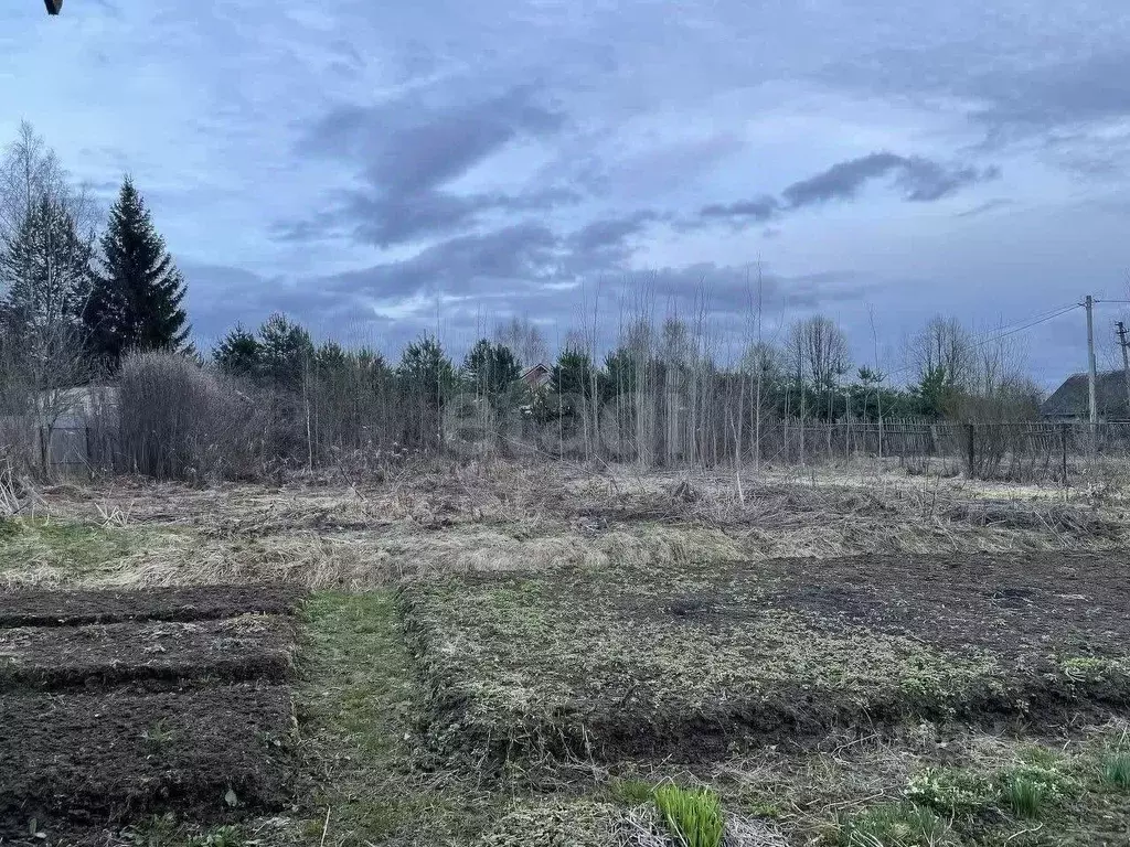 Участок в Ярославская область, Рыбинский муниципальный округ, д. ... - Фото 1