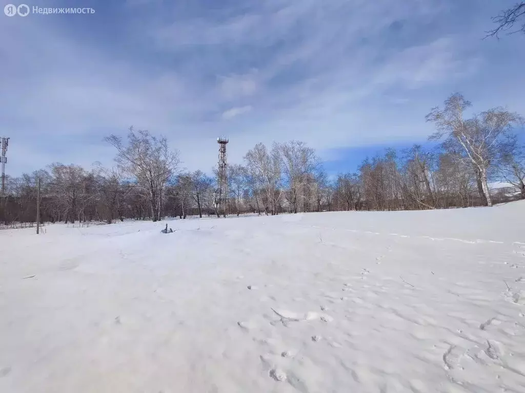 Участок в Камчатский край, Елизовский муниципальный округ, рабочий ... - Фото 2