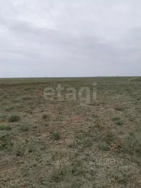 Участок в Крым, Сакский район, с. Суворовское ул. Суворовская, 1А ... - Фото 1