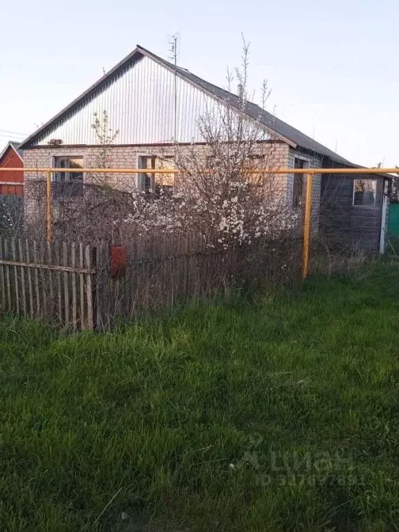 Дом в Воронежская область, Таловский район, Александровское с/пос, ... - Фото 2