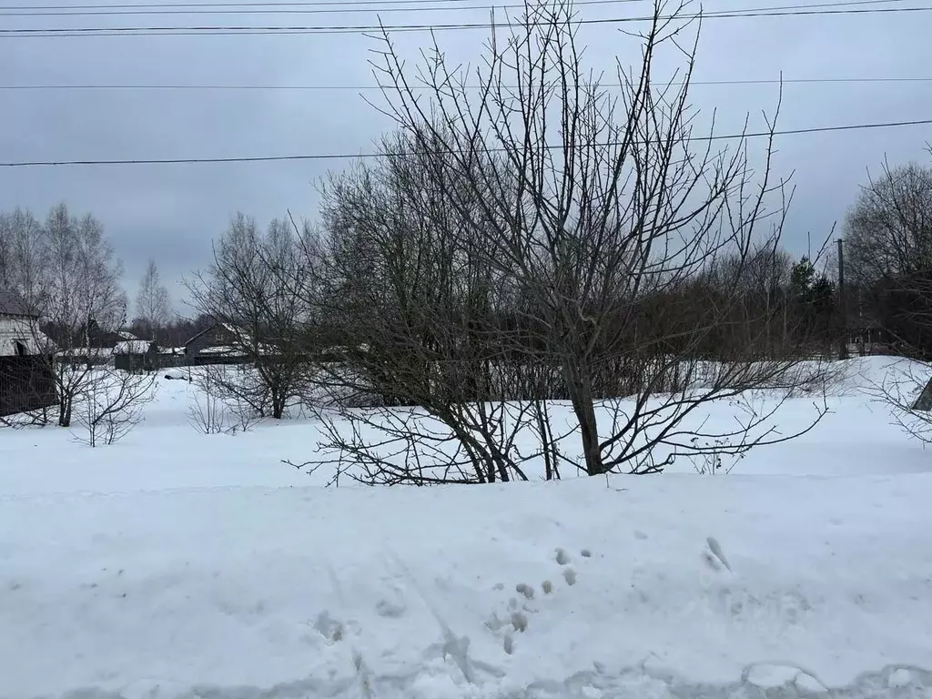 Участок в Тверская область, Калининский муниципальный округ, д. Кадино ... - Фото 1