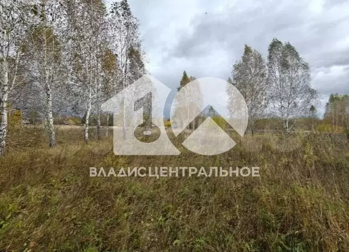 Участок 15,7 сот. (ИЖС) - Фото 1