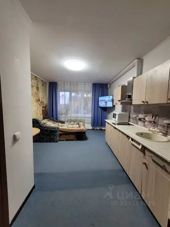 Студия Калининградская область, Багратионовский муниципальный округ, ... - Фото 2