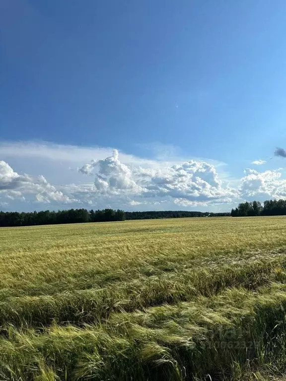 Участок в Тюменская область, Тюменский район, д. Ушакова ул. ... - Фото 1