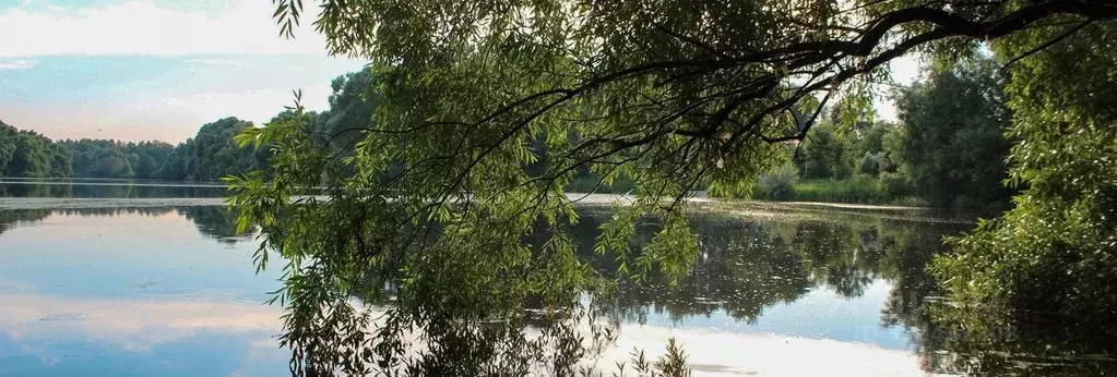 Участок в Московская область, Раменский городской округ, с. Салтыково  ... - Фото 1