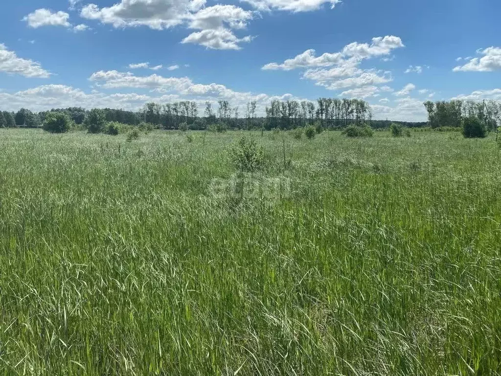 Участок в Московская область, Коломна городской округ, д. Шапкино  ... - Фото 0