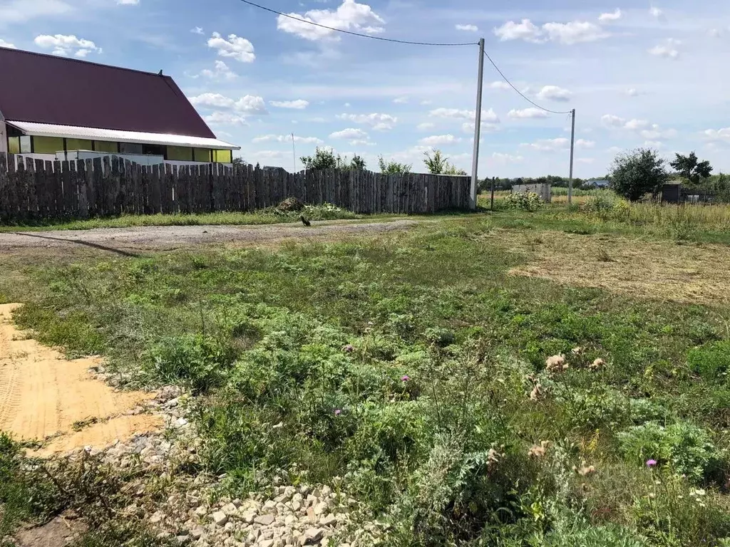 Участок в Тамбовская область, Тамбов городской округ, с. Бокино пер. ... - Фото 1