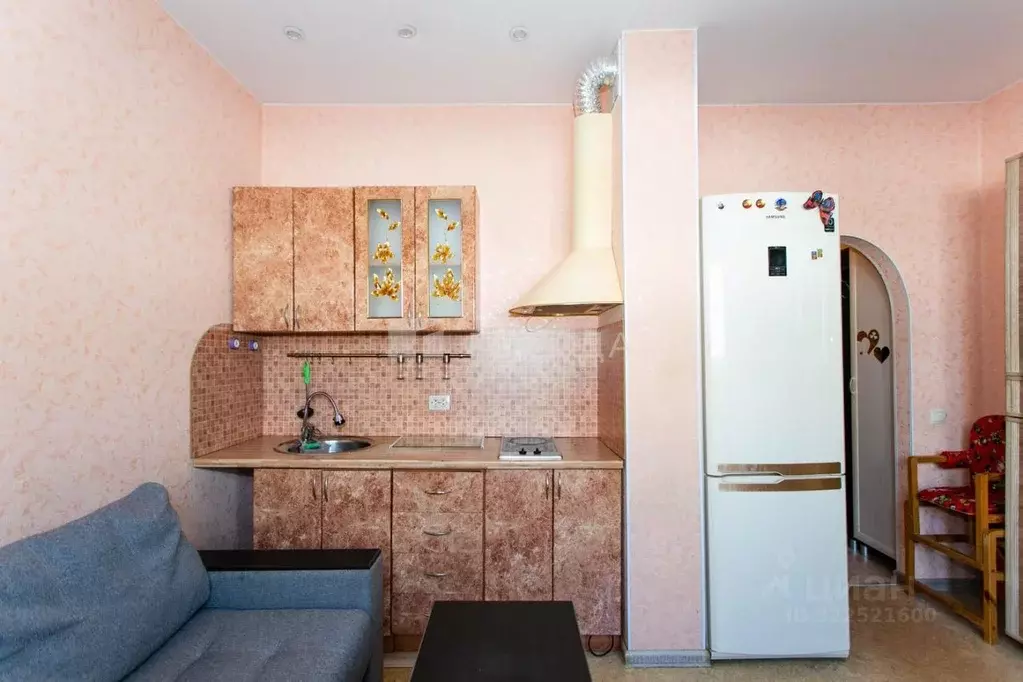 Студия Новосибирская область, Новосибирск ул. Виктора Уса, 11 (20.1 м) - Фото 1