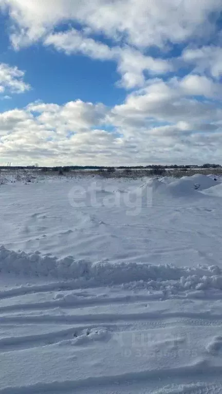 Участок в Новосибирская область, Новосибирский район, Криводановский ... - Фото 1