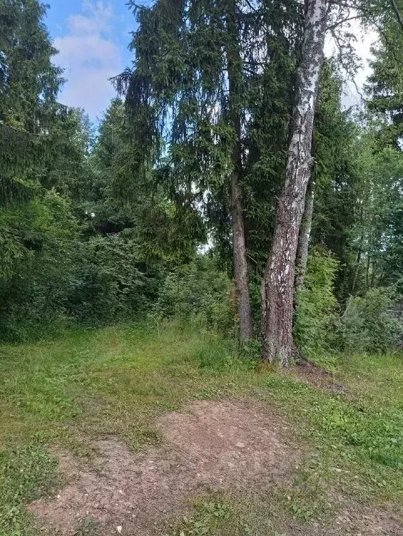 Участок в Московская область, Солнечногорск городской округ, пос. ... - Фото 2