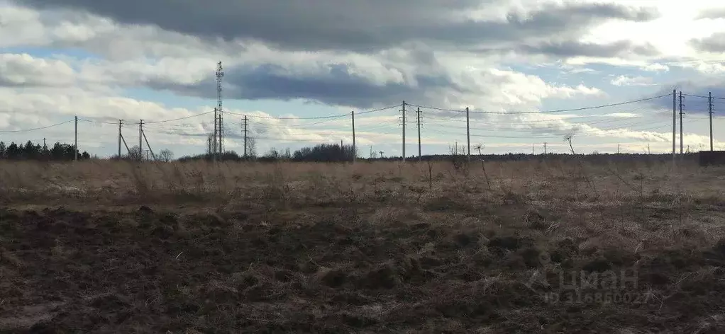 Участок в Московская область, Талдомский городской округ, д. Танино  ... - Фото 1