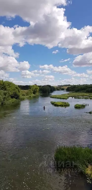 Участок в Липецкая область, Лебедянский район, с. Троекурово  (10.0 ... - Фото 1