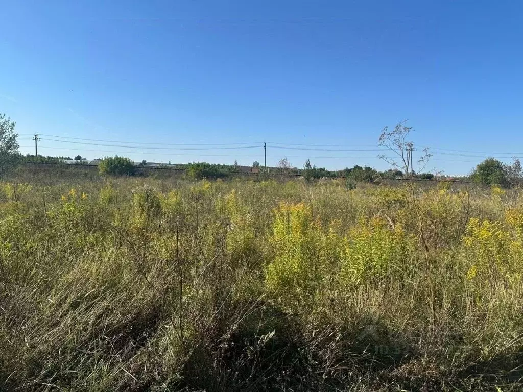 Участок в Орловская область, Орловский муниципальный округ, д. ... - Фото 2