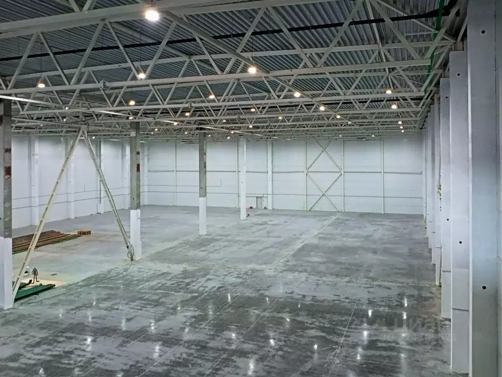 Склад в Новосибирская область, Новосибирск Выборная ул., 6 (5450 м) - Фото 1