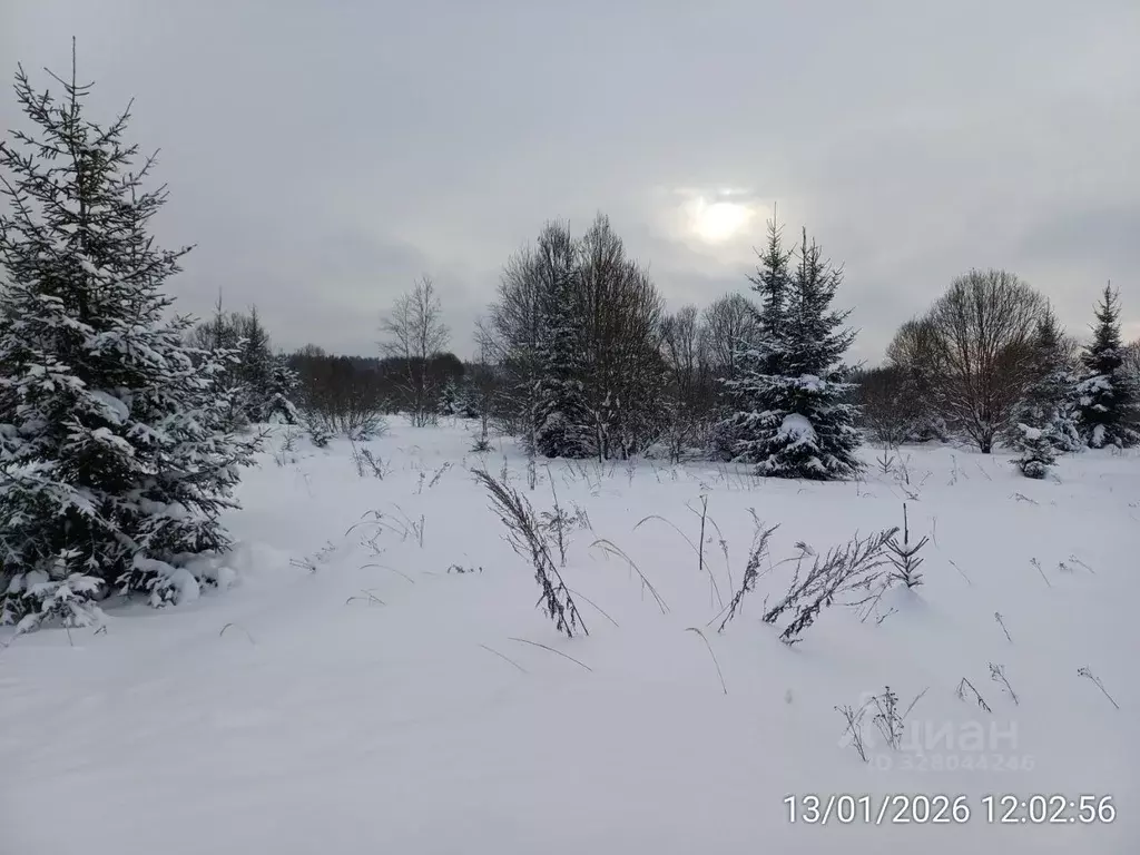 Участок в Московская область, Наро-Фоминский городской округ, д. ... - Фото 1