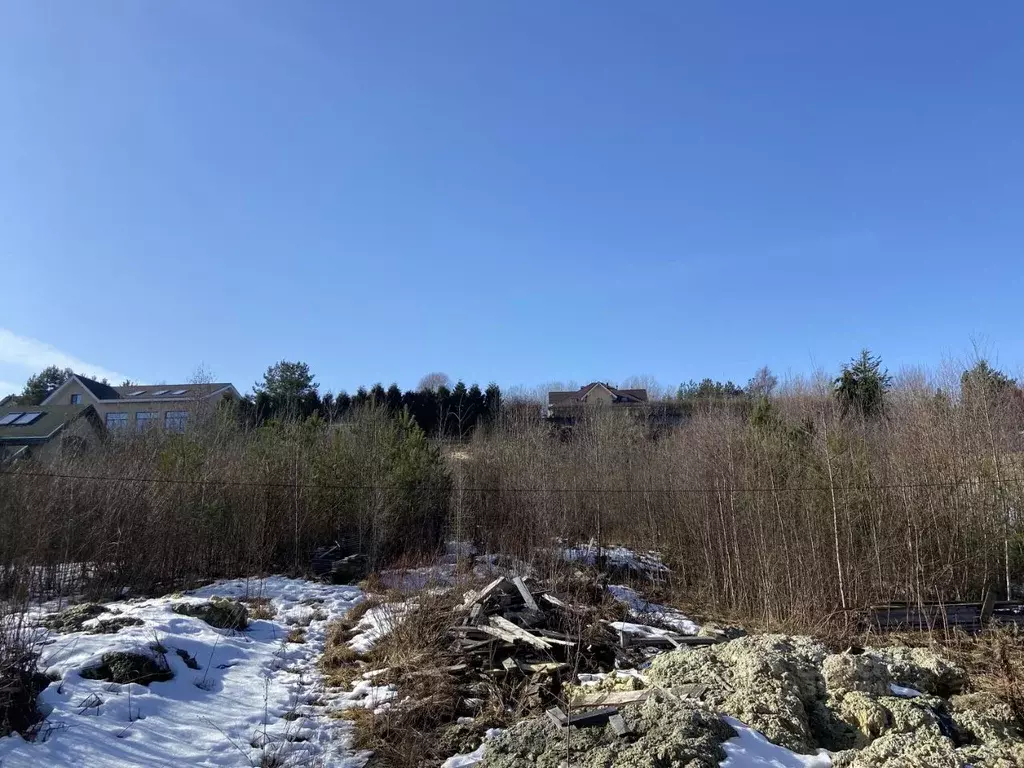 Участок в Ленинградская область, Выборгский район, Рощинское городское ... - Фото 2