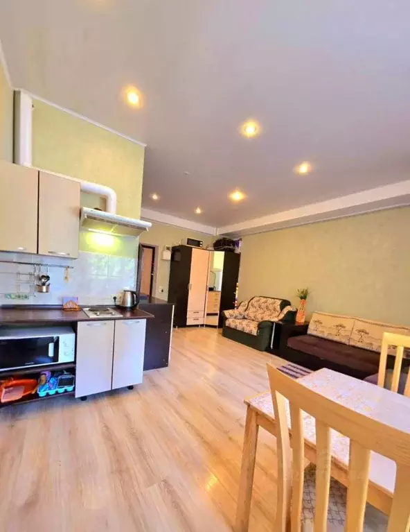 Студия Краснодарский край, Сочи ул. Яна Фабрициуса (40.0 м) - Фото 1