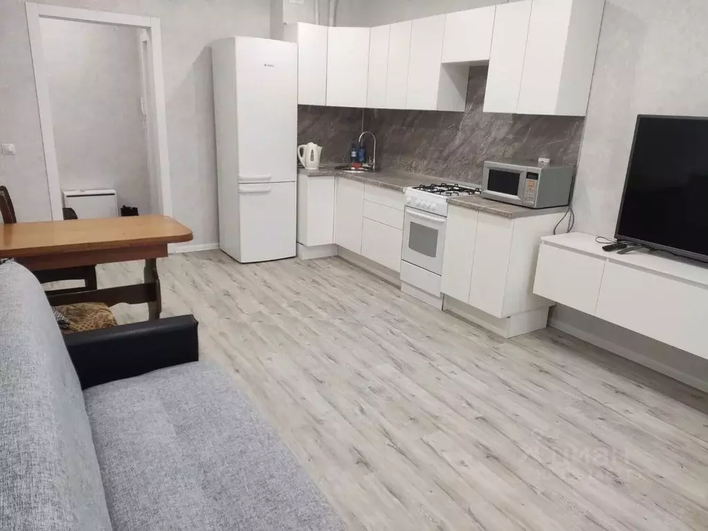 1-к кв. Мордовия, Саранск ул. 1-я Набережная, 16 (48.0 м) - Фото 2