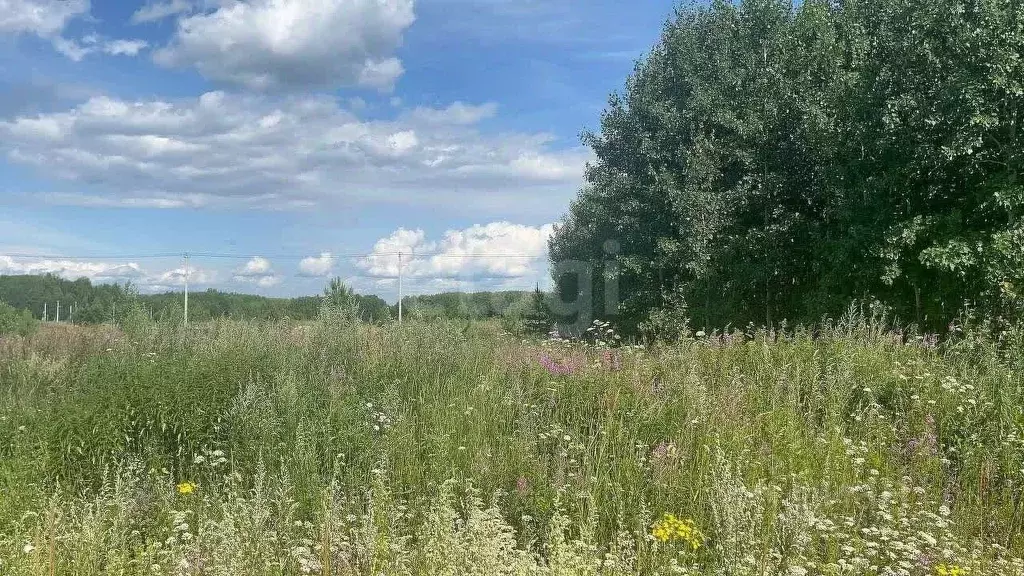 Участок в Тюменская область, Нижнетавдинский муниципальный округ, пос. ... - Фото 0
