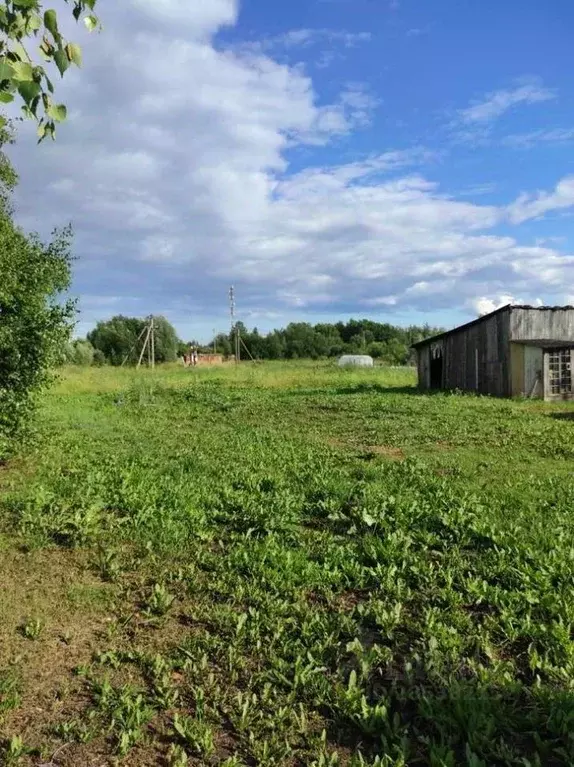 Участок в Новгородская область, Новгородский район, Ракомское с/пос, ... - Фото 0