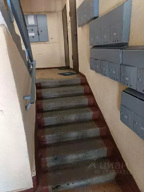 1-к кв. Калининградская область, Калининград ул. Маршала Борзова, 82 ... - Фото 2