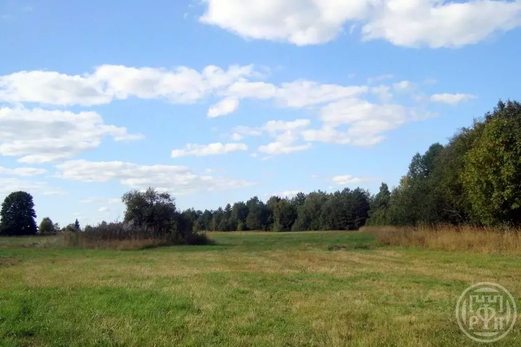 Участок в Ленинградская область, Выборгский район, Красносельское ... - Фото 1