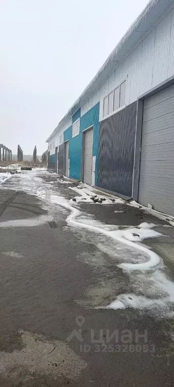 Склад в Алтайский край, Барнаул Звездная ул., 31Д (1000 м) - Фото 2