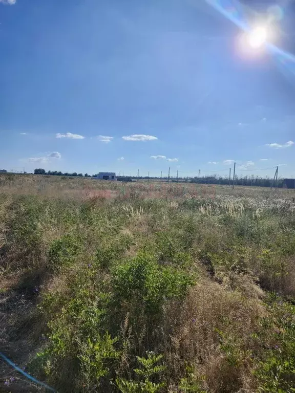 Участок в Ростовская область, Аксайский район, Мишкинская ст-ца  (8.4 ... - Фото 1