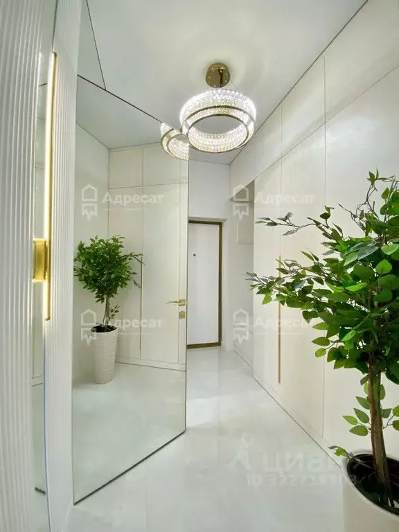 1-к кв. Волгоградская область, Волгоград Бакинская ул., 6с1 (42.3 м) - Фото 1