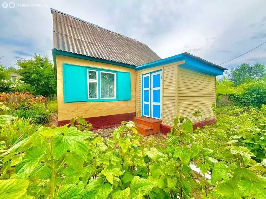 Дом в Тамбовский муниципальный округ, СНТ Пчёлка (43 м) - Фото 1