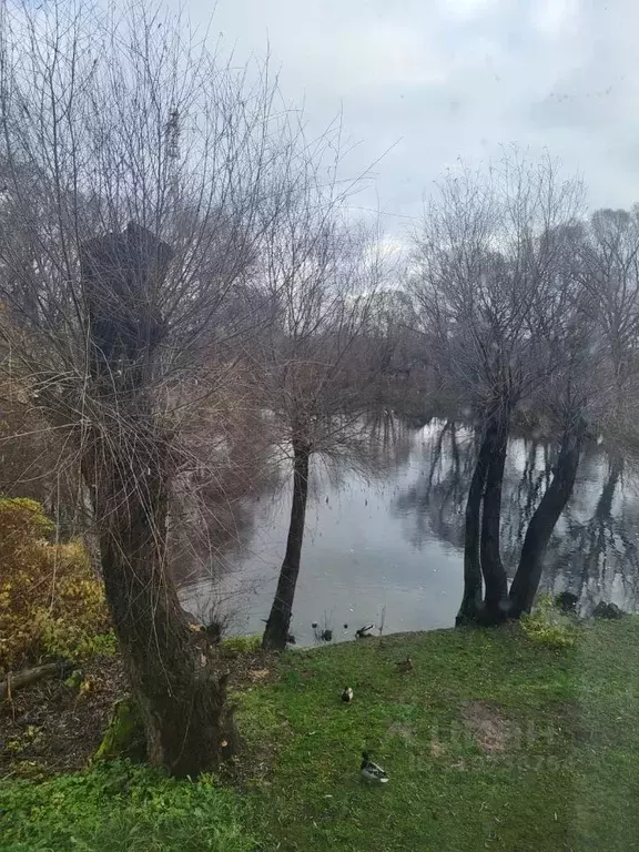 2-к кв. Новгородская область, Старая Русса Клубная ул., 29 (46.1 м) - Фото 2