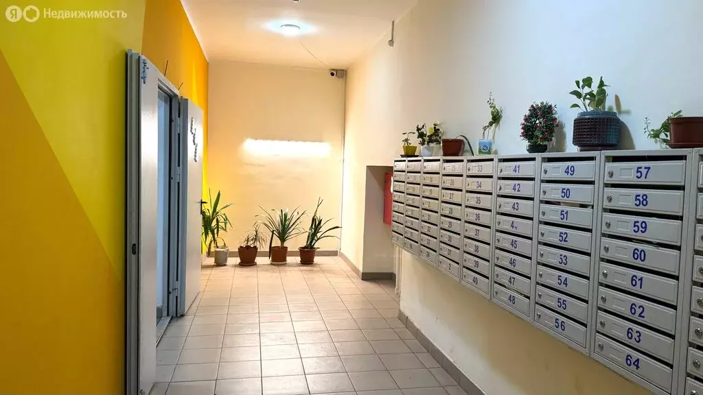 1-комнатная квартира: Красноярск, улица Калинина, 47Л (45.1 м) - Фото 1