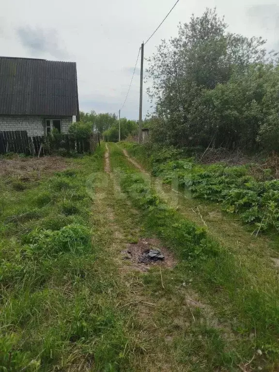 Участок в Брянская область, Брянский район, Мичуринское с/пос, Заря ... - Фото 1