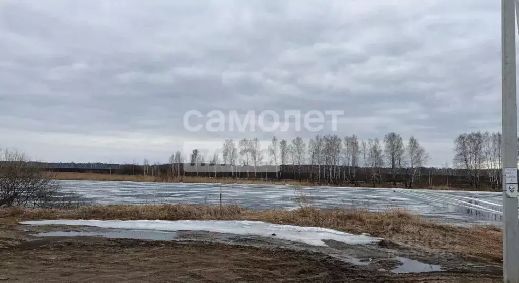 Дом в Тюменская область, Исетский муниципальный округ, пос. Кировский ... - Фото 2