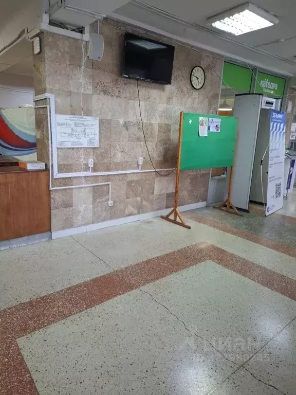 Помещение свободного назначения в Севастополь ул. Университетская, 32 ... - Фото 1