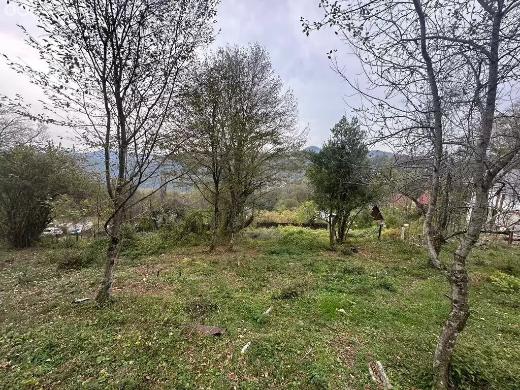 Участок в Сочи, СНТ Весна, Вишнёвая улица (5 м) - Фото 2