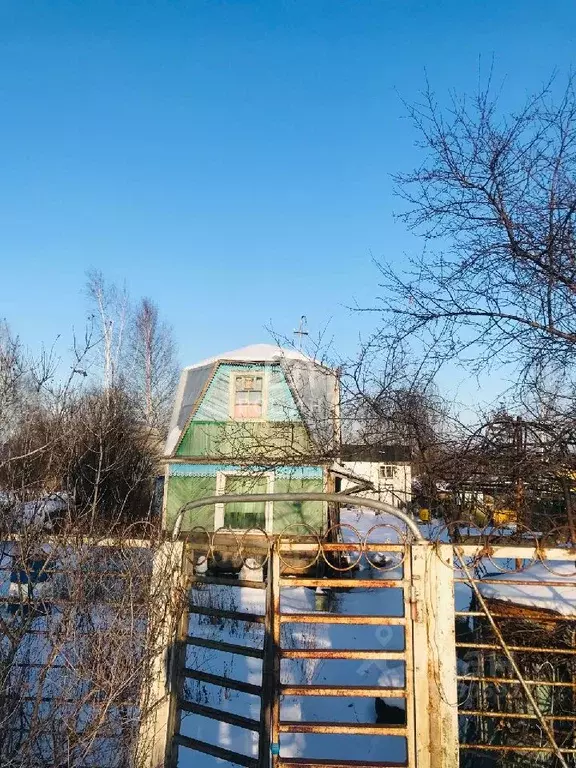 Участок в Хабаровский край, Комсомольск-на-Амуре АО АСЗ сад № 3 СНТ,  ... - Фото 0