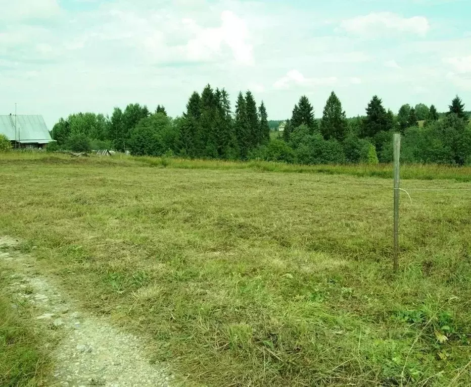 Участок в Вологодская область, Усть-Кубинский муниципальный округ, д. ... - Фото 1