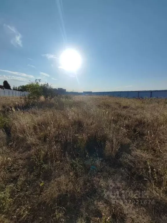 Участок в Белгородская область, Белгородский район, Дубовское с/пос, ... - Фото 1