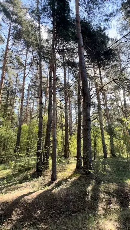 Участок 6 сот. (ИЖС) - Фото 0