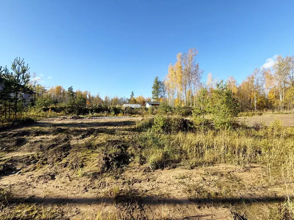 Участок в Ленинградская область, Всеволожский район, Куйвозовское ... - Фото 2