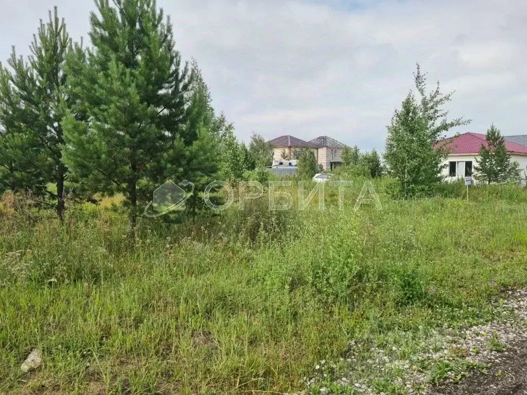 Участок в Тюменская область, Тюмень Ирбитский Тракт 3-й км от ... - Фото 1