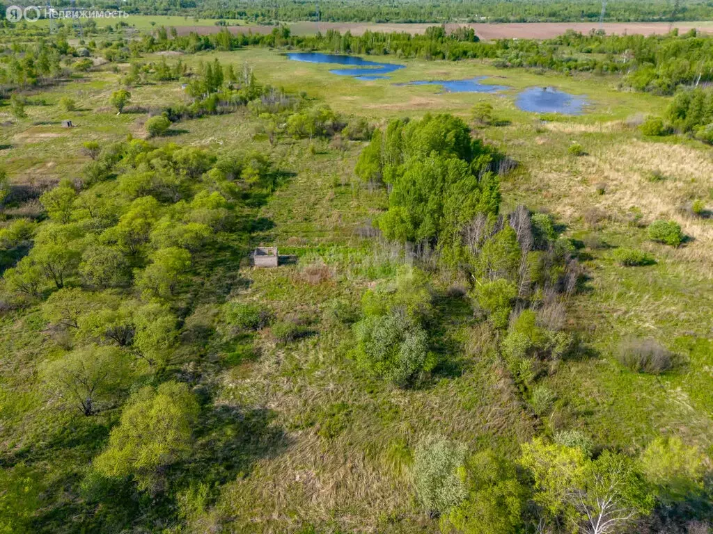 Участок в Комсомольский район, СНТ Озёрное (8 м) - Фото 1