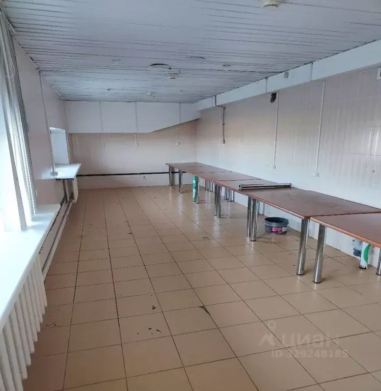 Помещение свободного назначения в Башкортостан, Уфа ул. Менделеева, ... - Фото 1