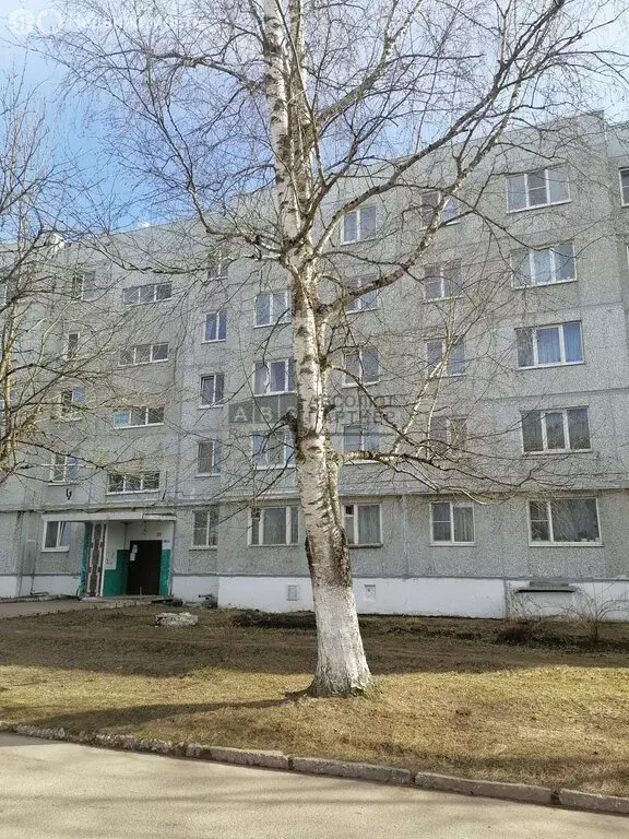 1-комнатная квартира: деревня Божонка, Новая улица, 13 (37.9 м) - Фото 1