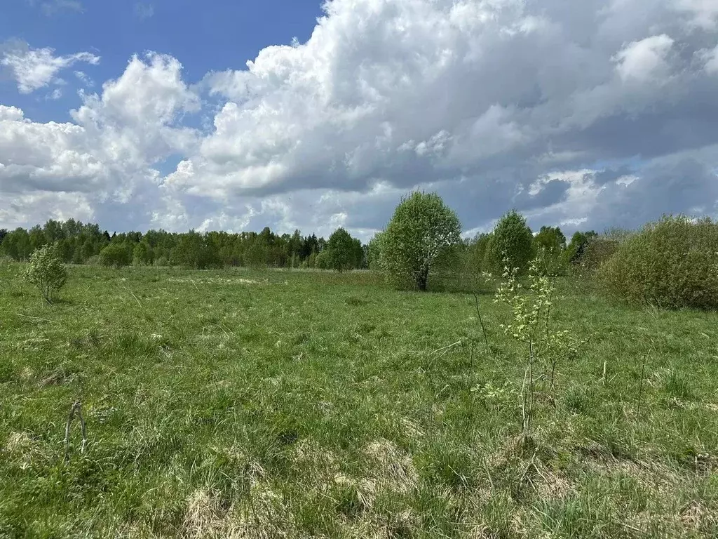 Участок в Московская область, Талдомский городской округ, д. Григорово ... - Фото 2