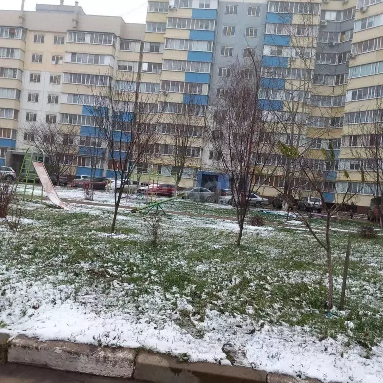 1-к кв. Белгородская область, Строитель Яковлевский городской округ, ... - Фото 2