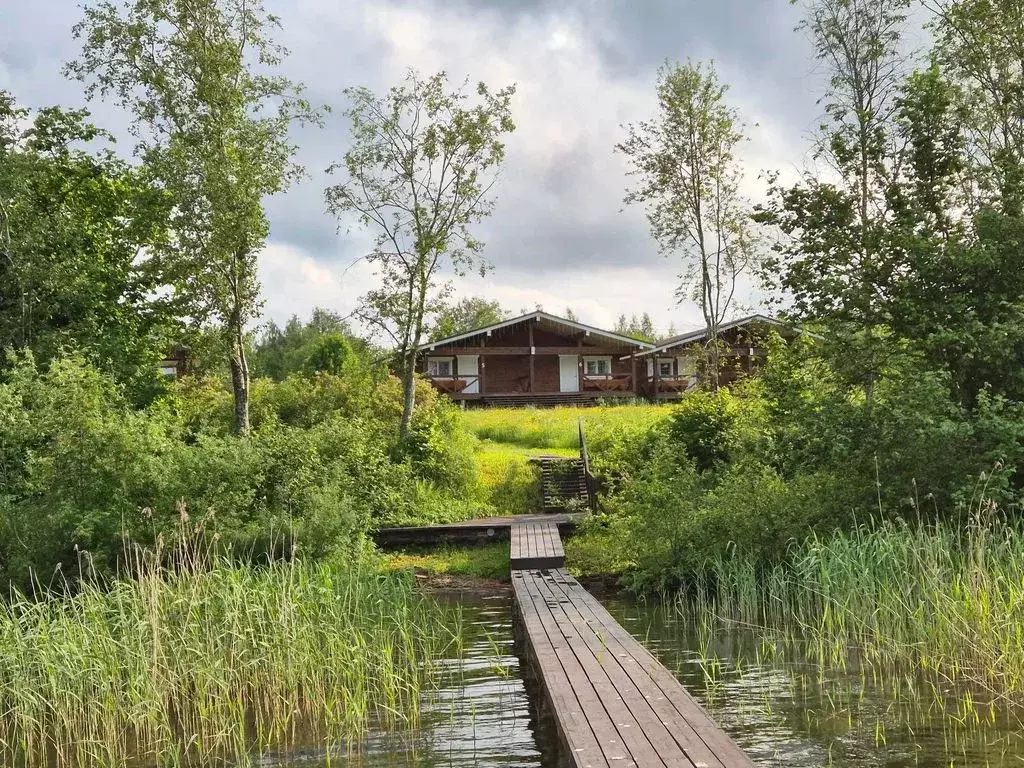 Дом в Тверская область, Осташковский муниципальный округ, д. Старый ... - Фото 2