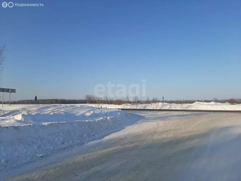 Участок в Медведевский район, Руэмское сельское поселение, деревня ... - Фото 1